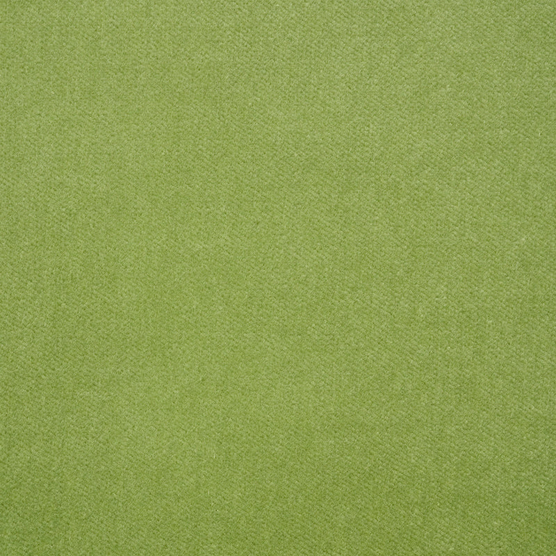 Rocky Performance Velvet fabric in aloe color - pattern number 70575 - by Schumacher in the Perfect Basics: Velvet collection