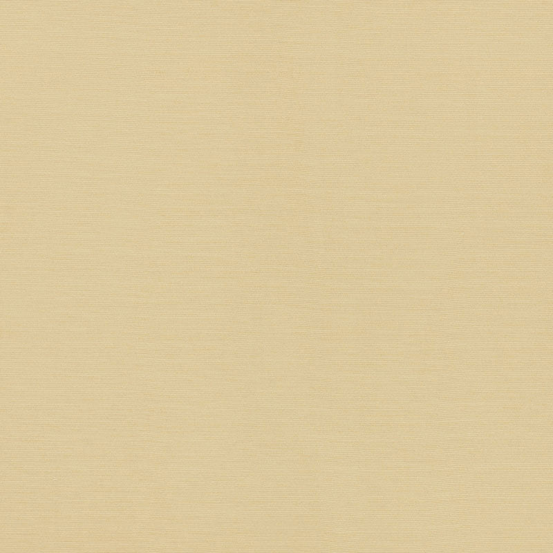 Lampedusa Indoor Outdoor fabric in ecru color - pattern number 70941 - by Schumacher in the Perfect Basics: Indoor/Outdoor collection