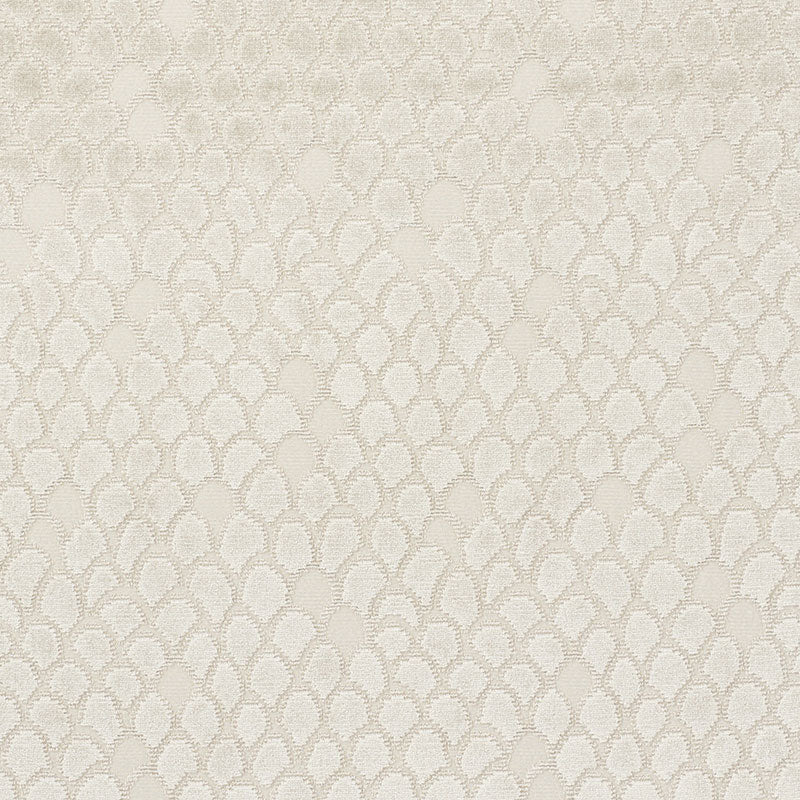 Esther Velvet fabric in moonstone color - pattern number 72771 - by Schumacher in the Cut & Patterned Velvets collection