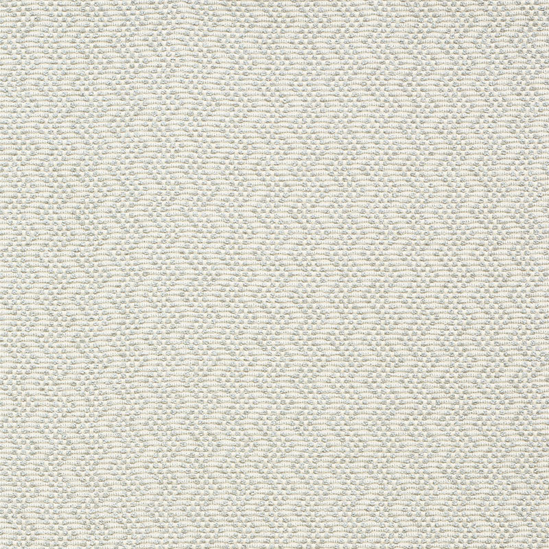 Audley fabric in mineral color - pattern number 75493 - by Schumacher in the New Traditional collection
