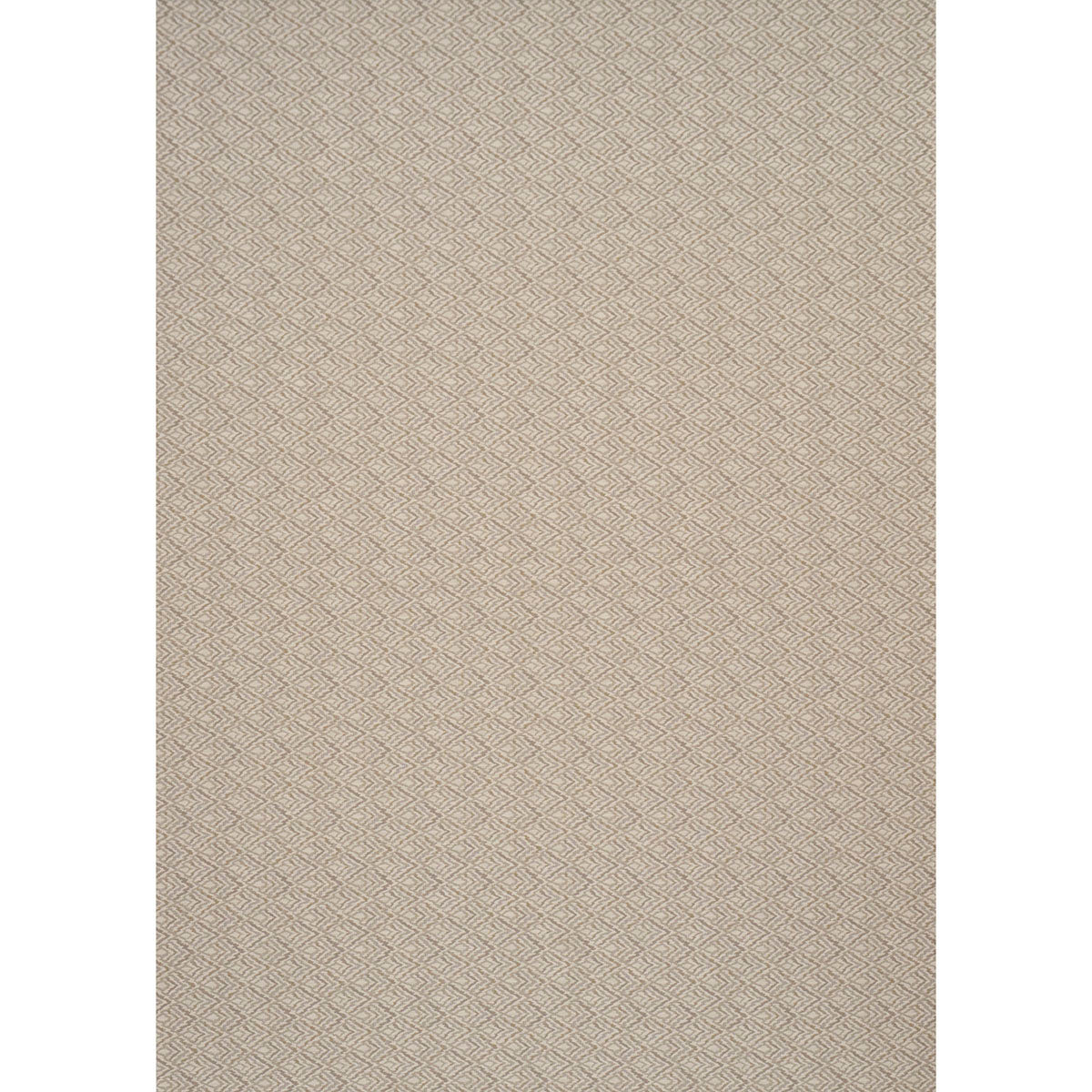 Halcyon fabric in almond dust color - pattern number 76143 - by Schumacher in the Atelier Paris collection