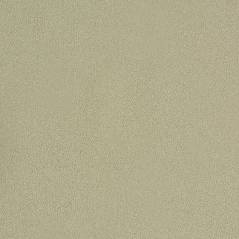 Vegan Leather Indoor Outdoor fabric in dune color - pattern number 79553 - by Schumacher in the Perfect Basics: Vegan Leather & Suede collection