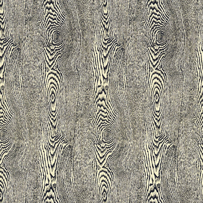 Wood fabric in indigo color - pattern 8013142.5.0 - by Brunschwig & Fils in the Hommage collection