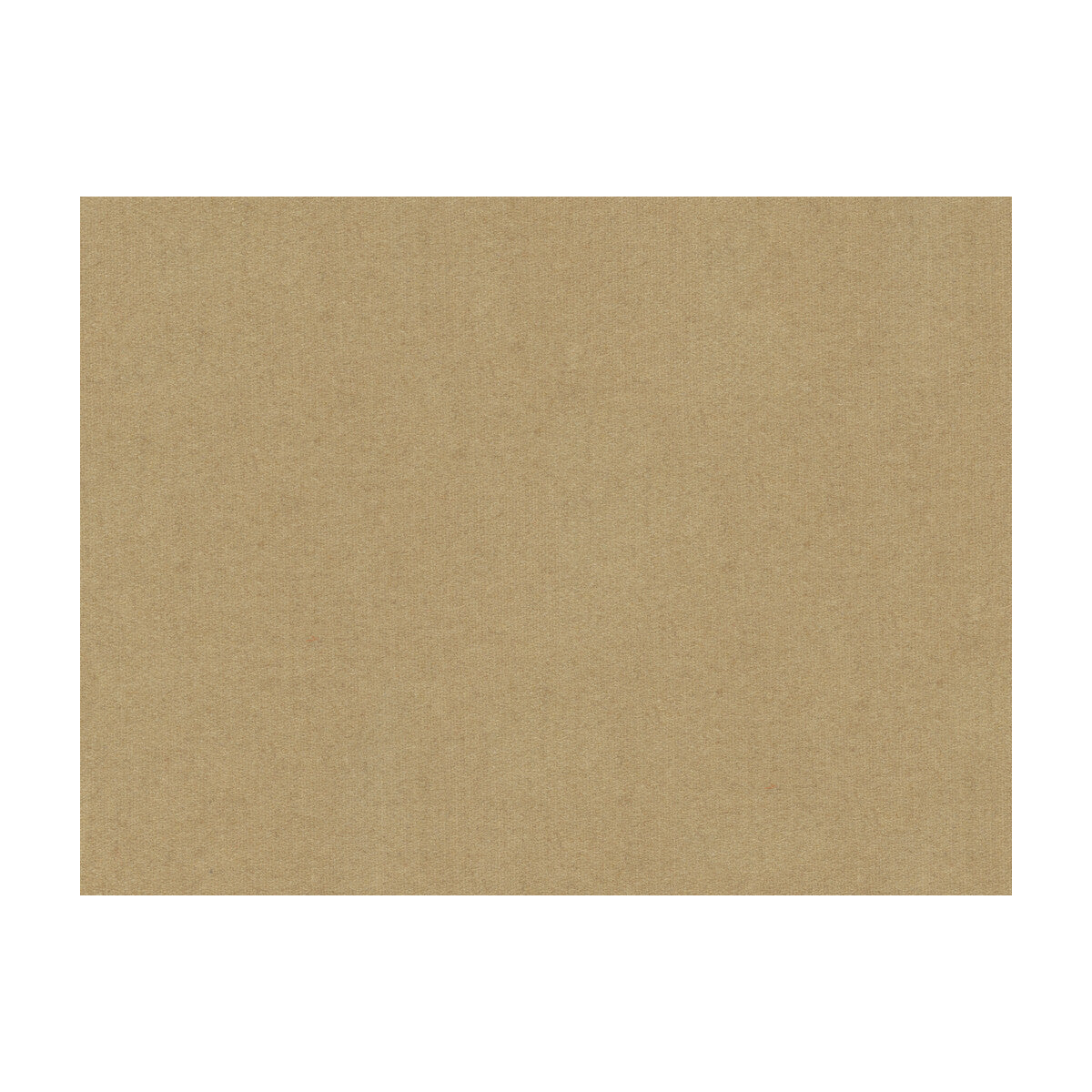 Chevalier Wool fabric in putty color - pattern 8013149.116.0 - by Brunschwig & Fils