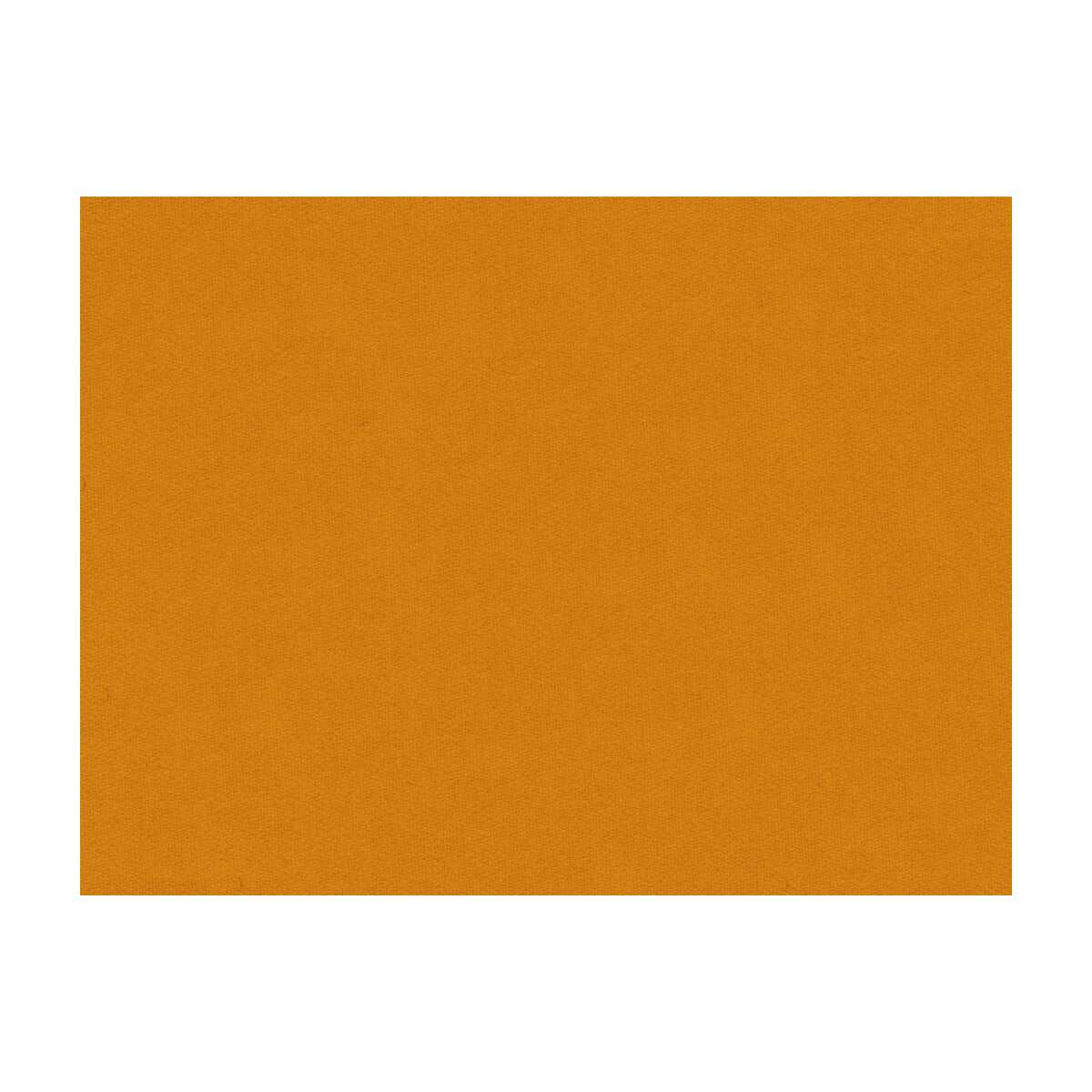 Chevalier Wool fabric in saffron color - pattern 8013149.44.0 - by Brunschwig & Fils