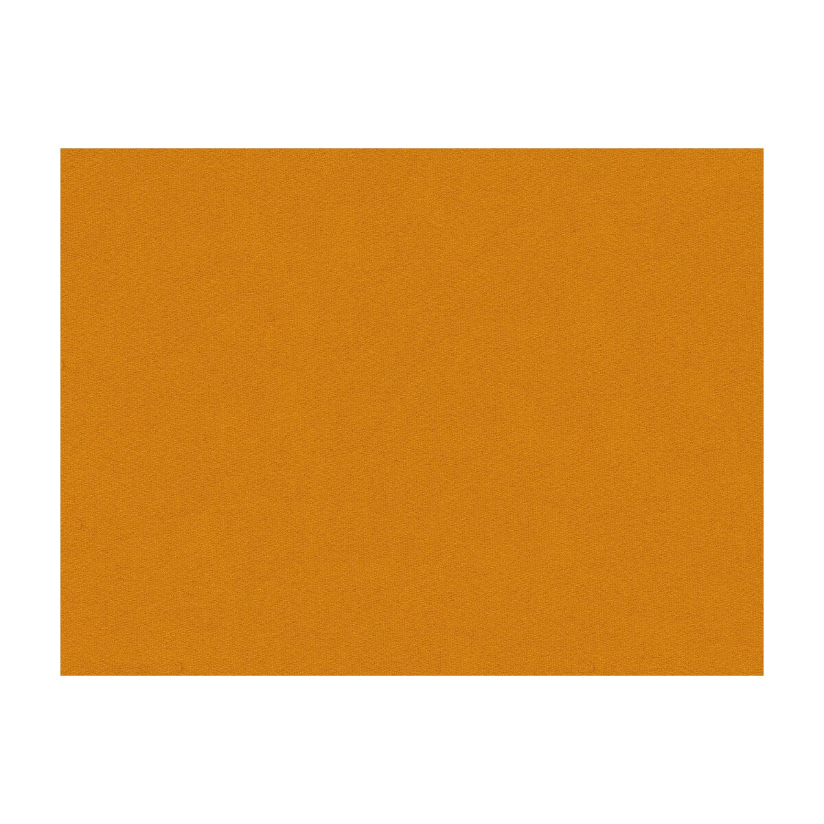 Chevalier Wool fabric in saffron color - pattern 8013149.44.0 - by Brunschwig &amp; Fils
