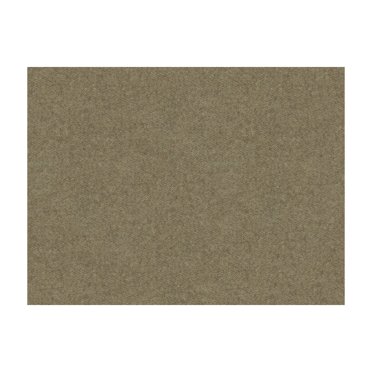 Chevalier Wool fabric in pongee color - pattern 8013149.611.0 - by Brunschwig & Fils