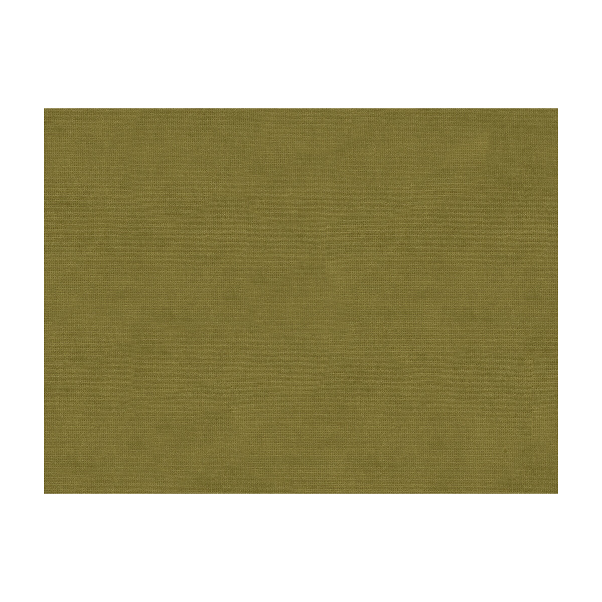 Charmant Velvet fabric in olive color - pattern 8013150.130.0 - by Brunschwig & Fils