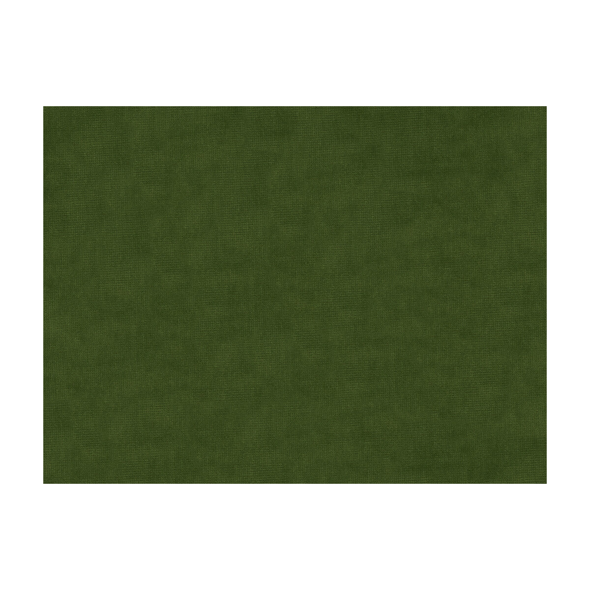 Charmant Velvet fabric in pine color - pattern 8013150.3030.0 - by Brunschwig & Fils