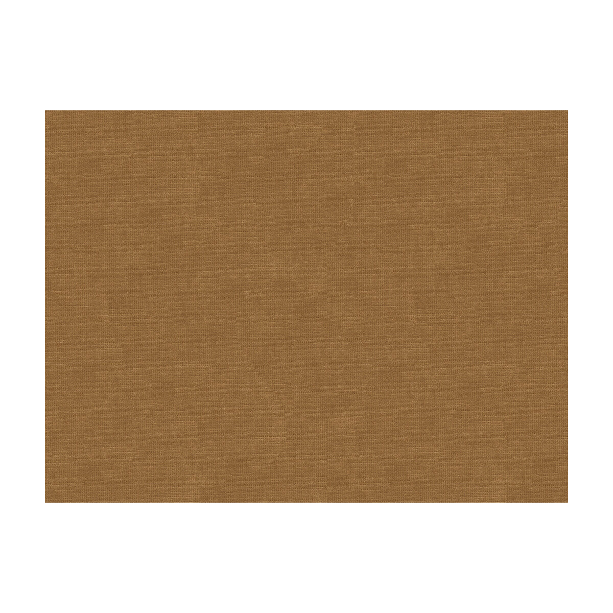 Charmant Velvet fabric in chickory color - pattern 8013150.606.0 - by Brunschwig & Fils