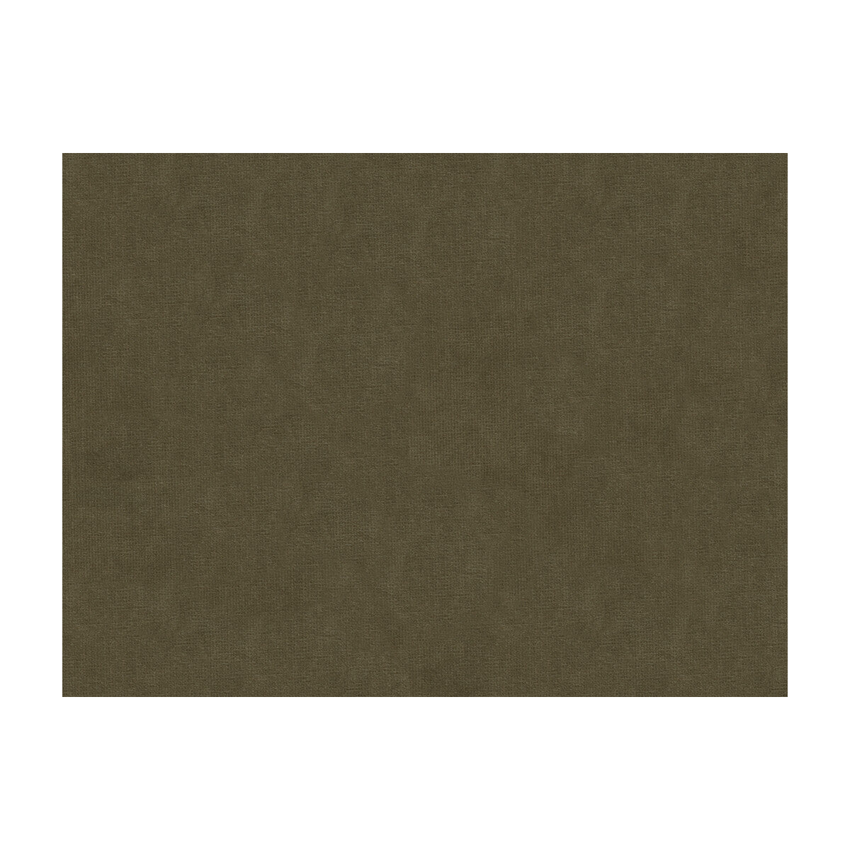 Charmant Velvet fabric in ash color - pattern 8013150.611.0 - by Brunschwig & Fils