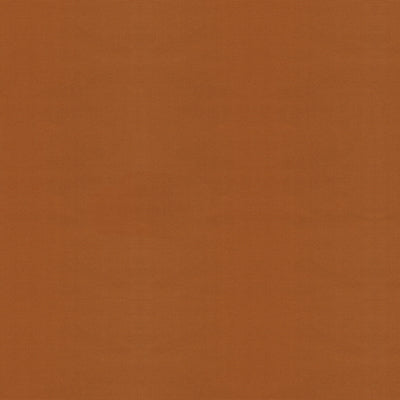 Faille Du Barry fabric in tan color - pattern 8013182.616.0 - by Brunschwig & Fils