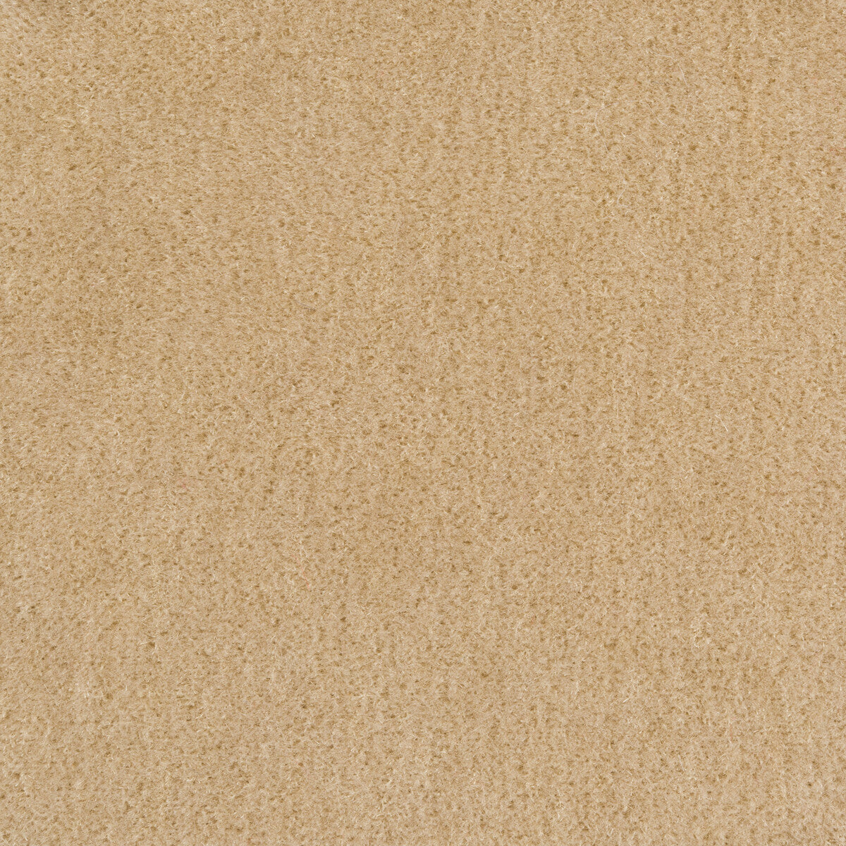Bachelor Mohair fabric in pumice color - pattern 8014101.1.0 - by Brunschwig & Fils