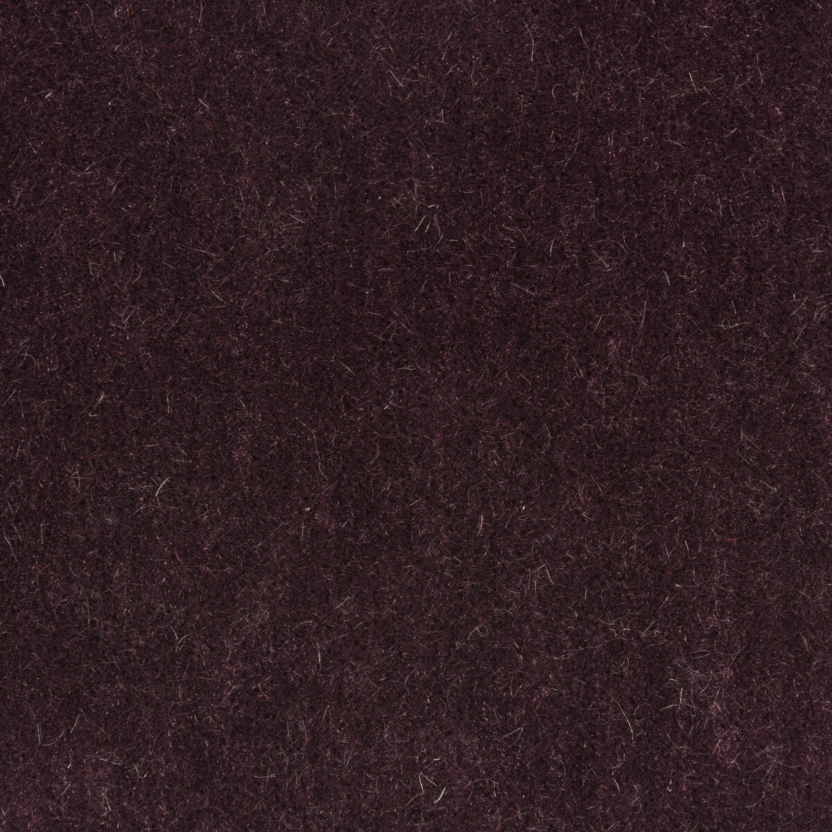 Bachelor Mohair fabric in concord color - pattern 8014101.10.0 - by Brunschwig & Fils