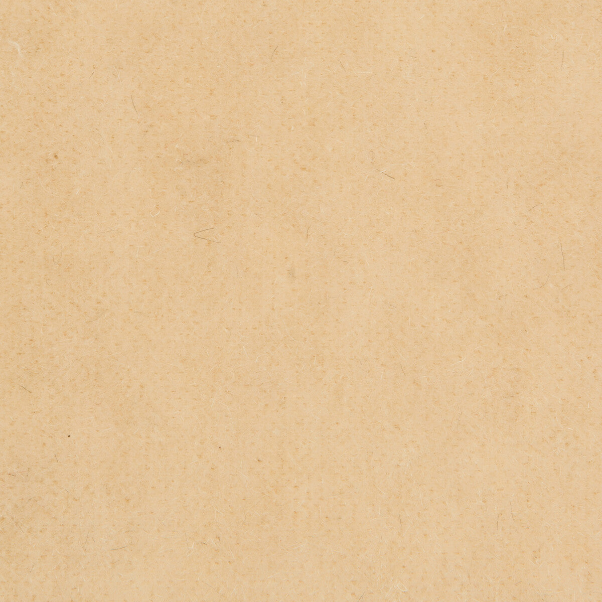 Bachelor Mohair fabric in almond color - pattern 8014101.101.0 - by Brunschwig & Fils