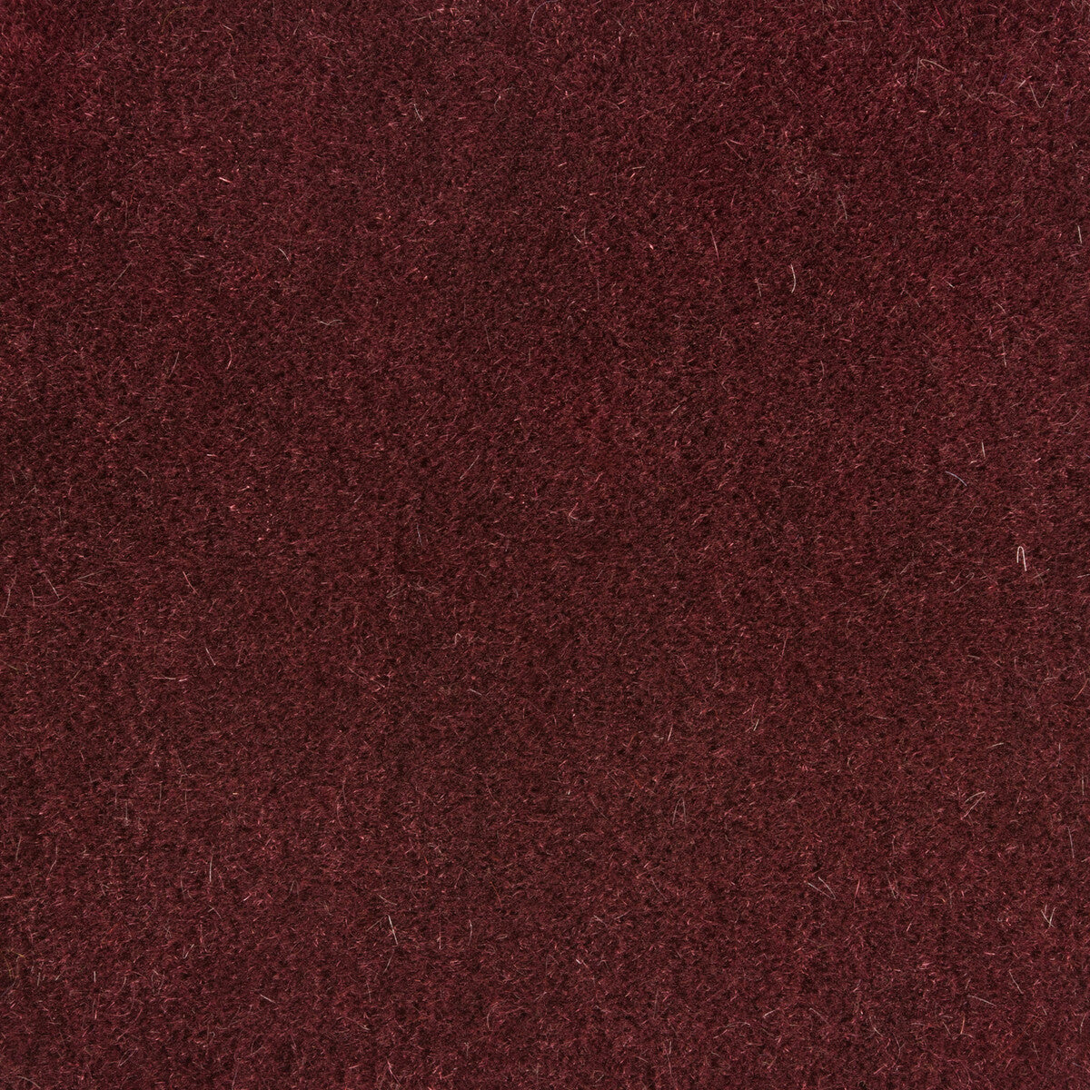 Bachelor Mohair fabric in damson color - pattern 8014101.1010.0 - by Brunschwig & Fils
