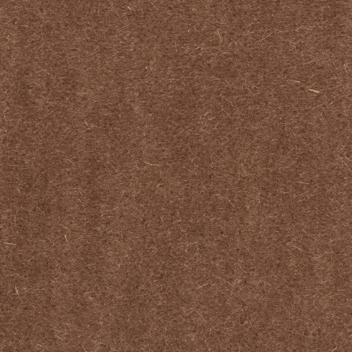 Bachelor Mohair fabric in dove color - pattern 8014101.1011.0 - by Brunschwig & Fils