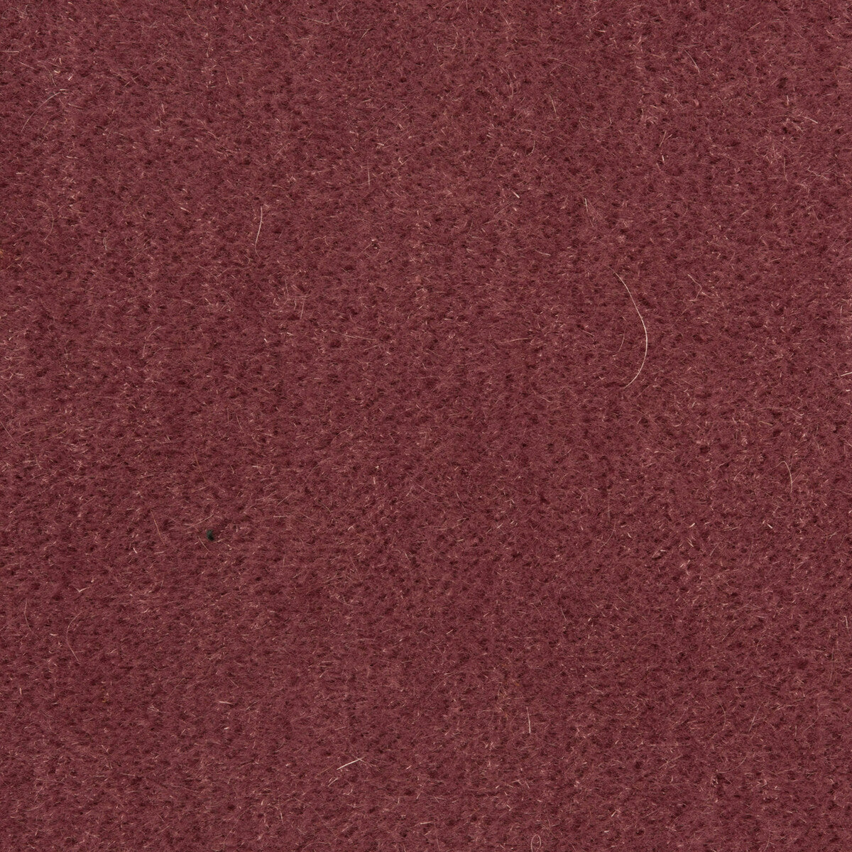 Bachelor Mohair fabric in lavender color - pattern 8014101.110.0 - by Brunschwig & Fils