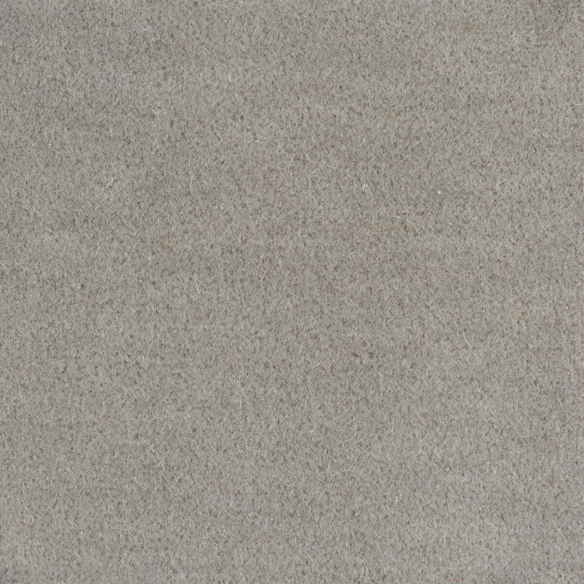 Bachelor Mohair fabric in greystone color - pattern 8014101.1115.0 - by Brunschwig & Fils