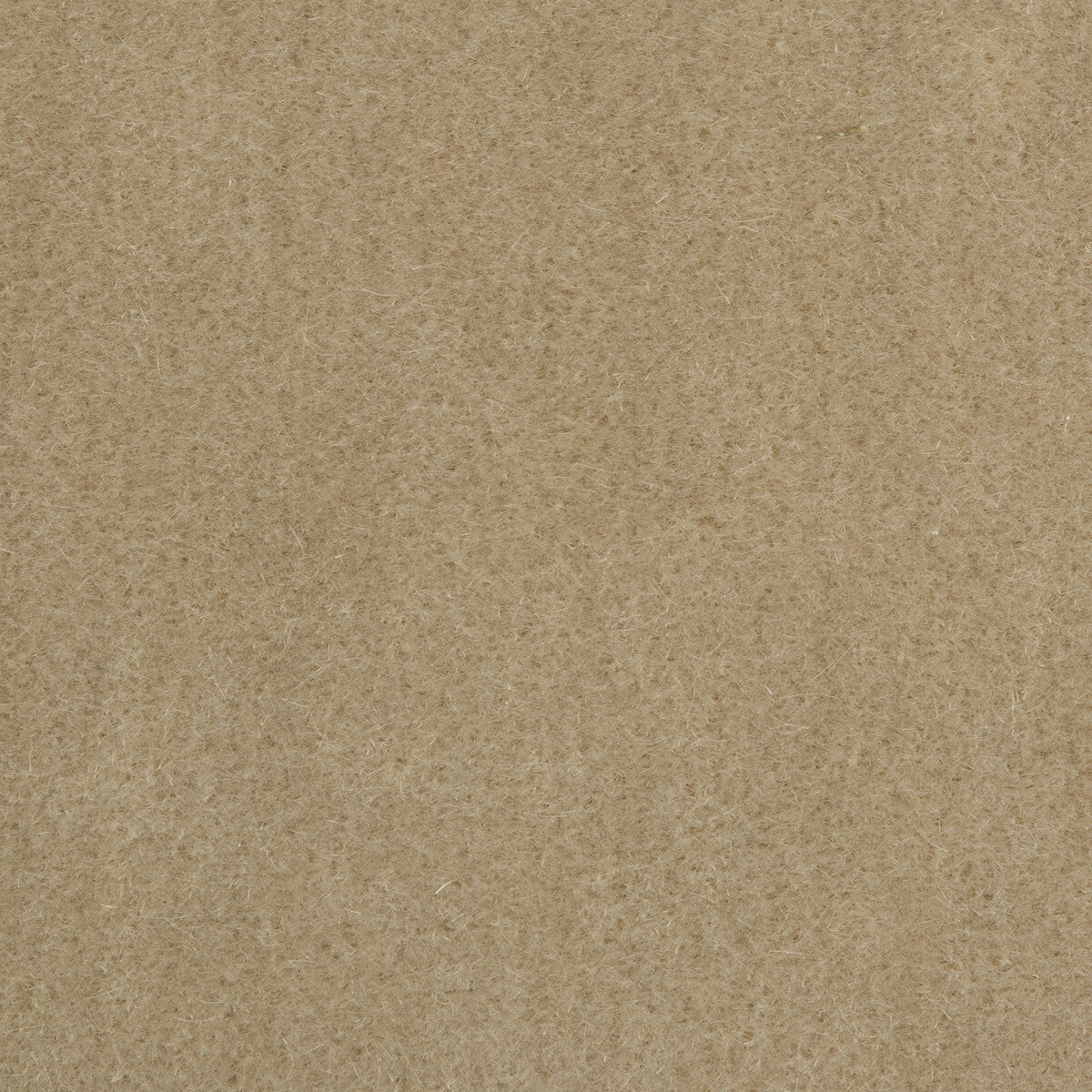 Bachelor Mohair fabric in linen color - pattern 8014101.1116.0 - by Brunschwig & Fils