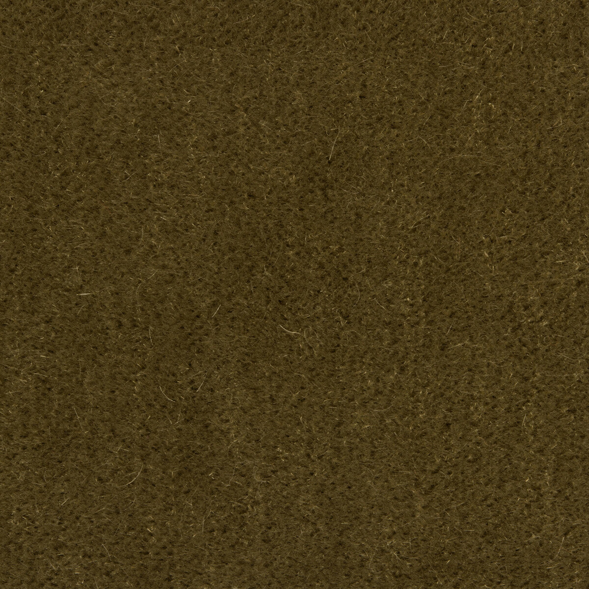 Bachelor Mohair fabric in khaki color - pattern 8014101.113.0 - by Brunschwig & Fils