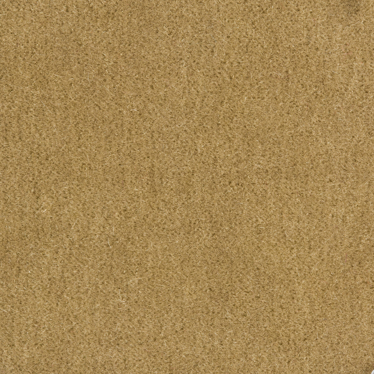 Bachelor Mohair fabric in flax color - pattern 8014101.116.0 - by Brunschwig & Fils