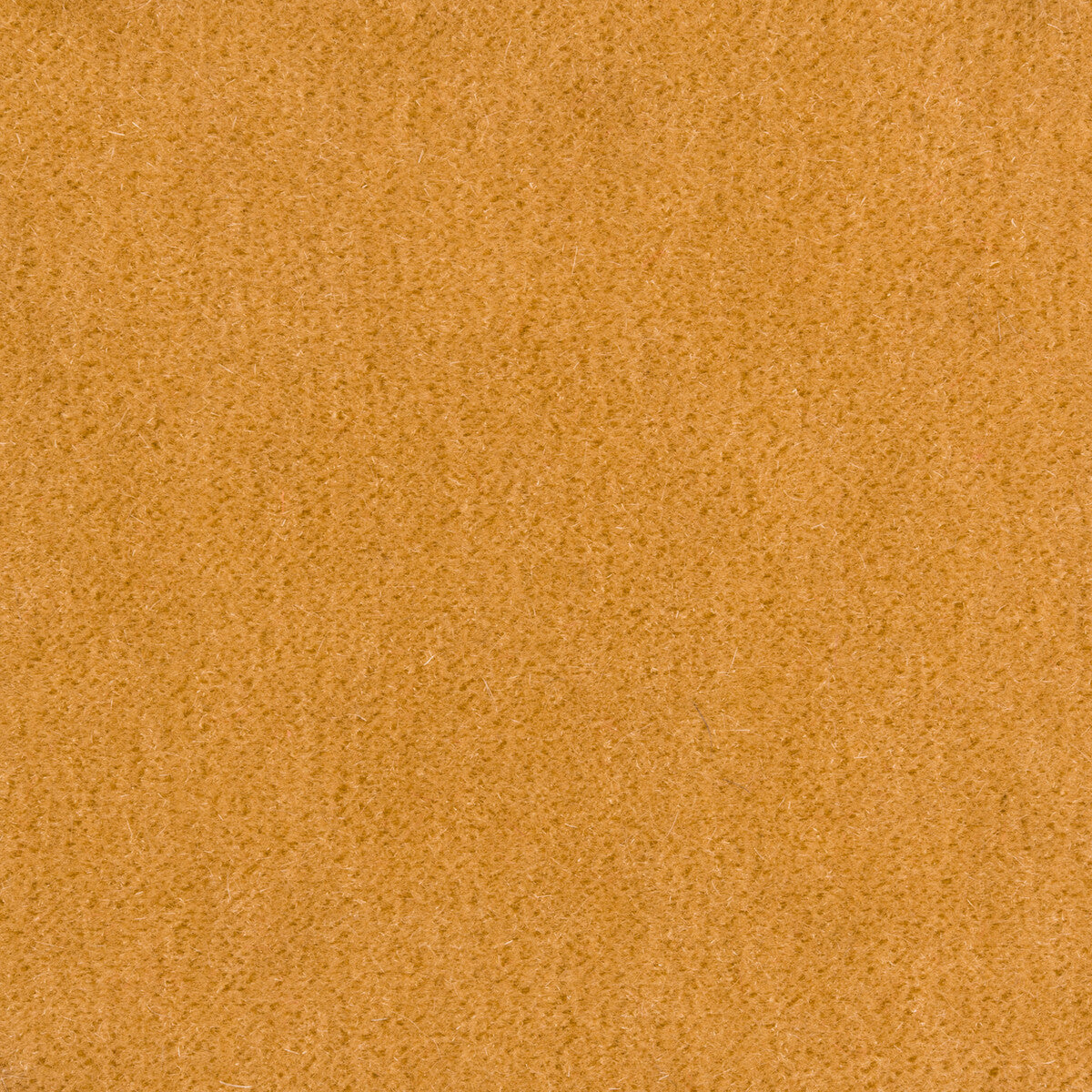 Bachelor Mohair fabric in tan color - pattern 8014101.14.0 - by Brunschwig & Fils