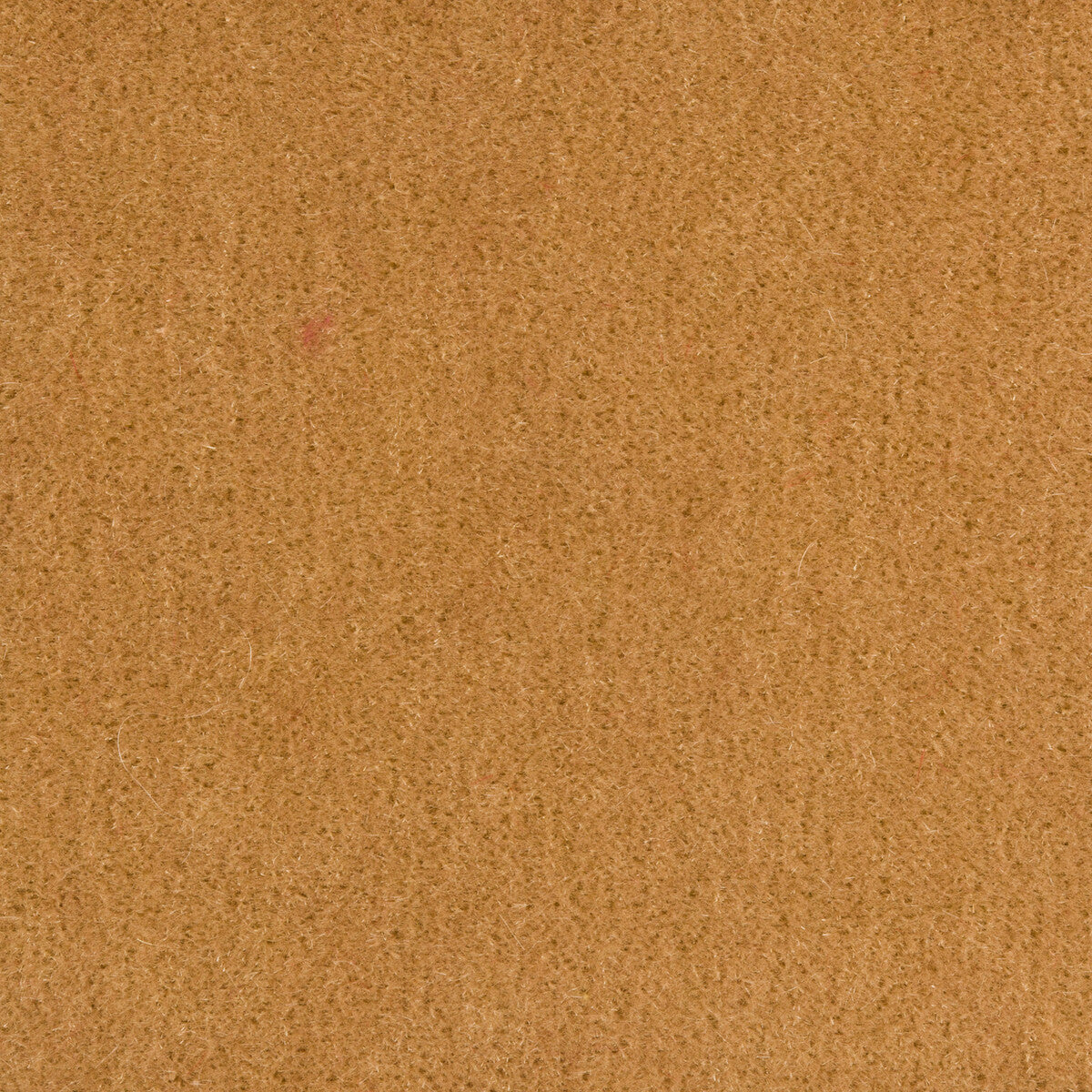 Bachelor Mohair fabric in wheat color - pattern 8014101.16.0 - by Brunschwig & Fils