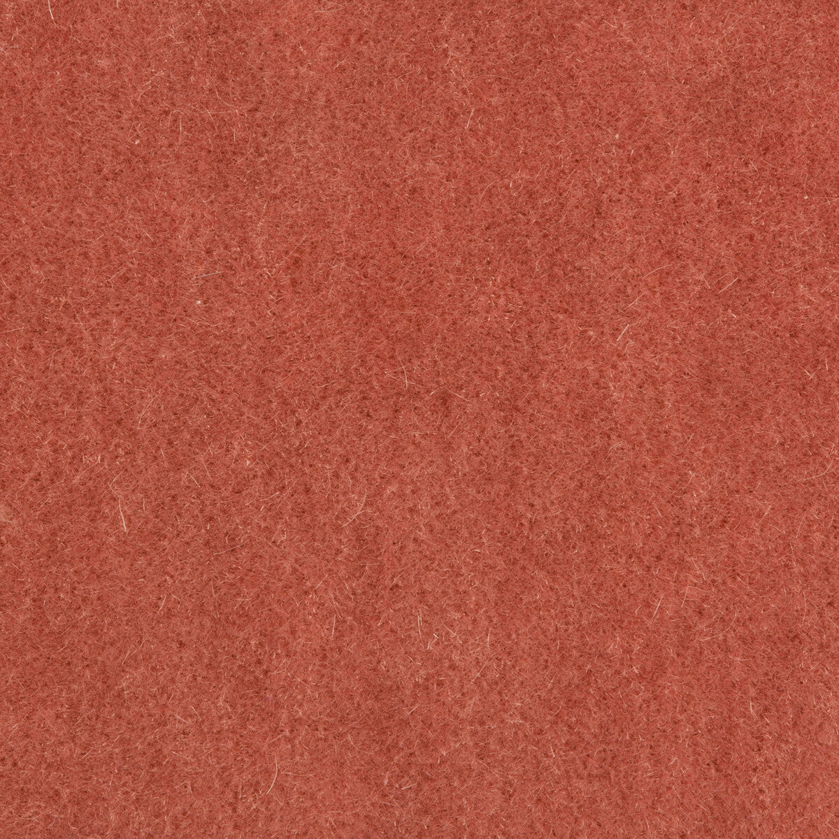 Bachelor Mohair fabric in blush color - pattern 8014101.17.0 - by Brunschwig & Fils
