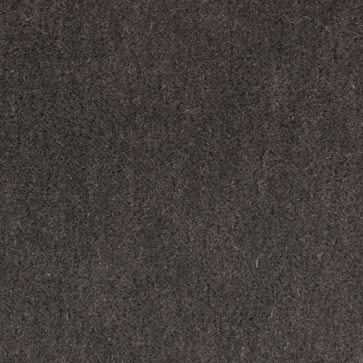 Bachelor Mohair fabric in graphite color - pattern 8014101.2121.0 - by Brunschwig & Fils