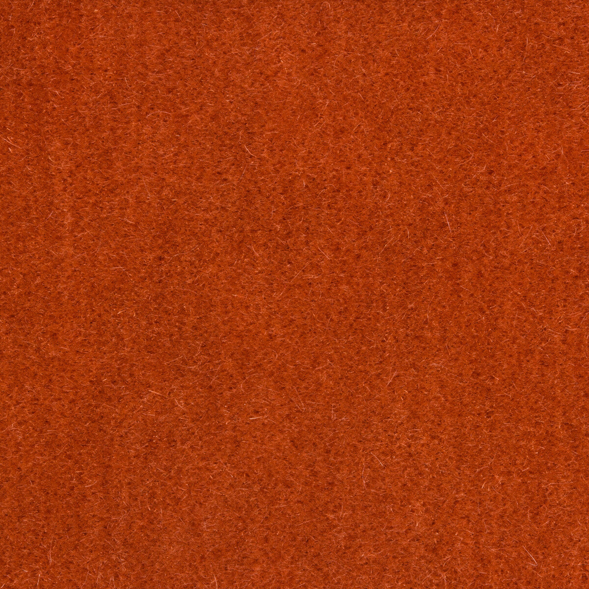 Bachelor Mohair fabric in persimmon color - pattern 8014101.24.0 - by Brunschwig & Fils