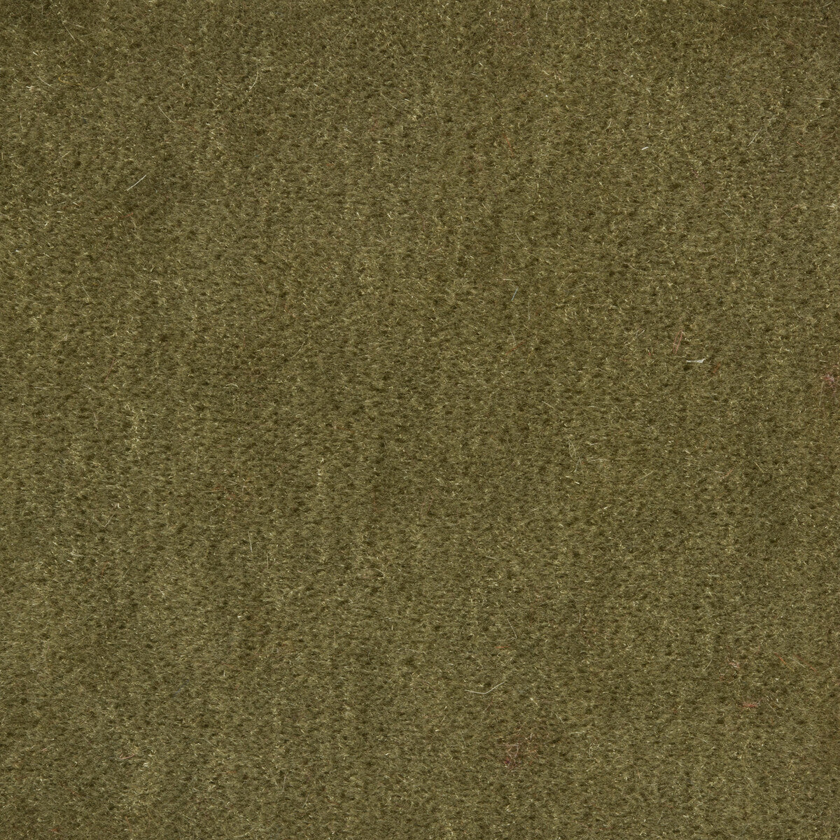 Bachelor Mohair fabric in sage color - pattern 8014101.311.0 - by Brunschwig & Fils