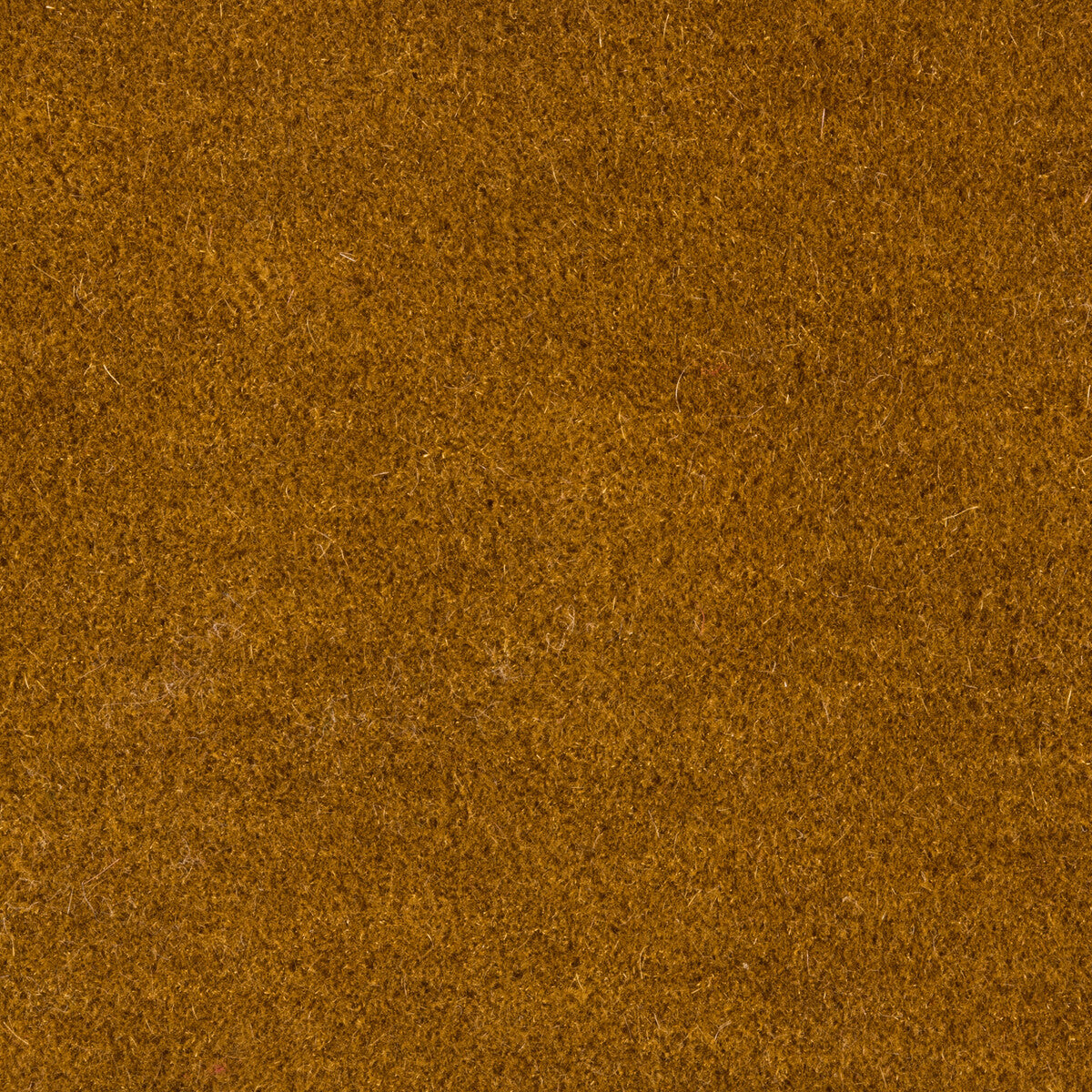 Bachelor Mohair fabric in ochre color - pattern 8014101.4.0 - by Brunschwig & Fils