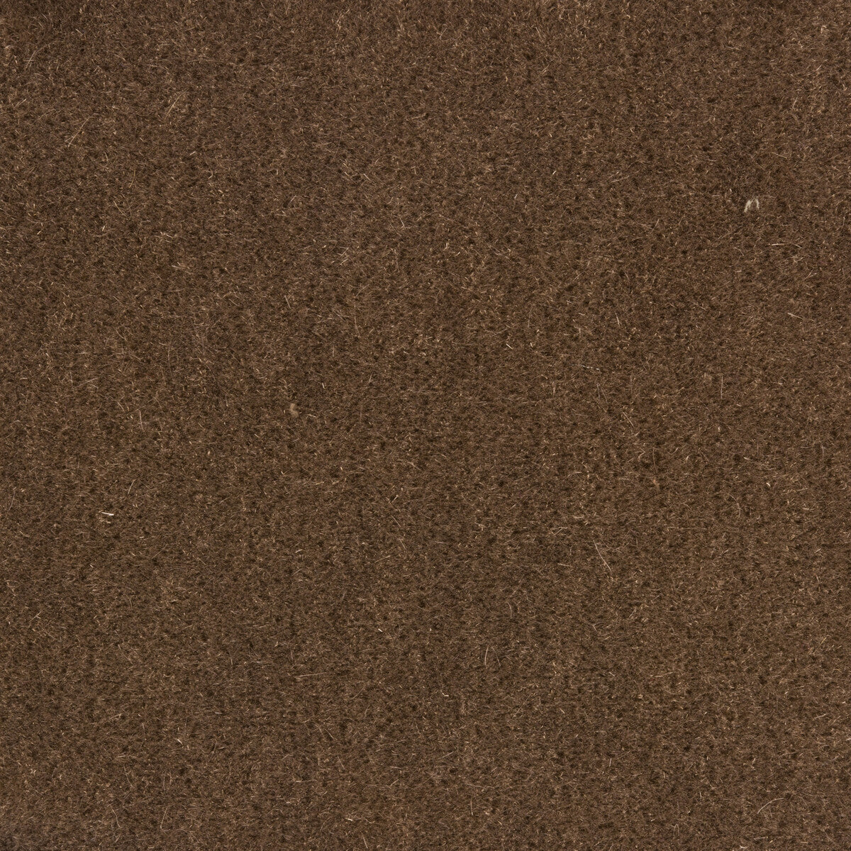 Bachelor Mohair fabric in mink color - pattern 8014101.611.0 - by Brunschwig & Fils