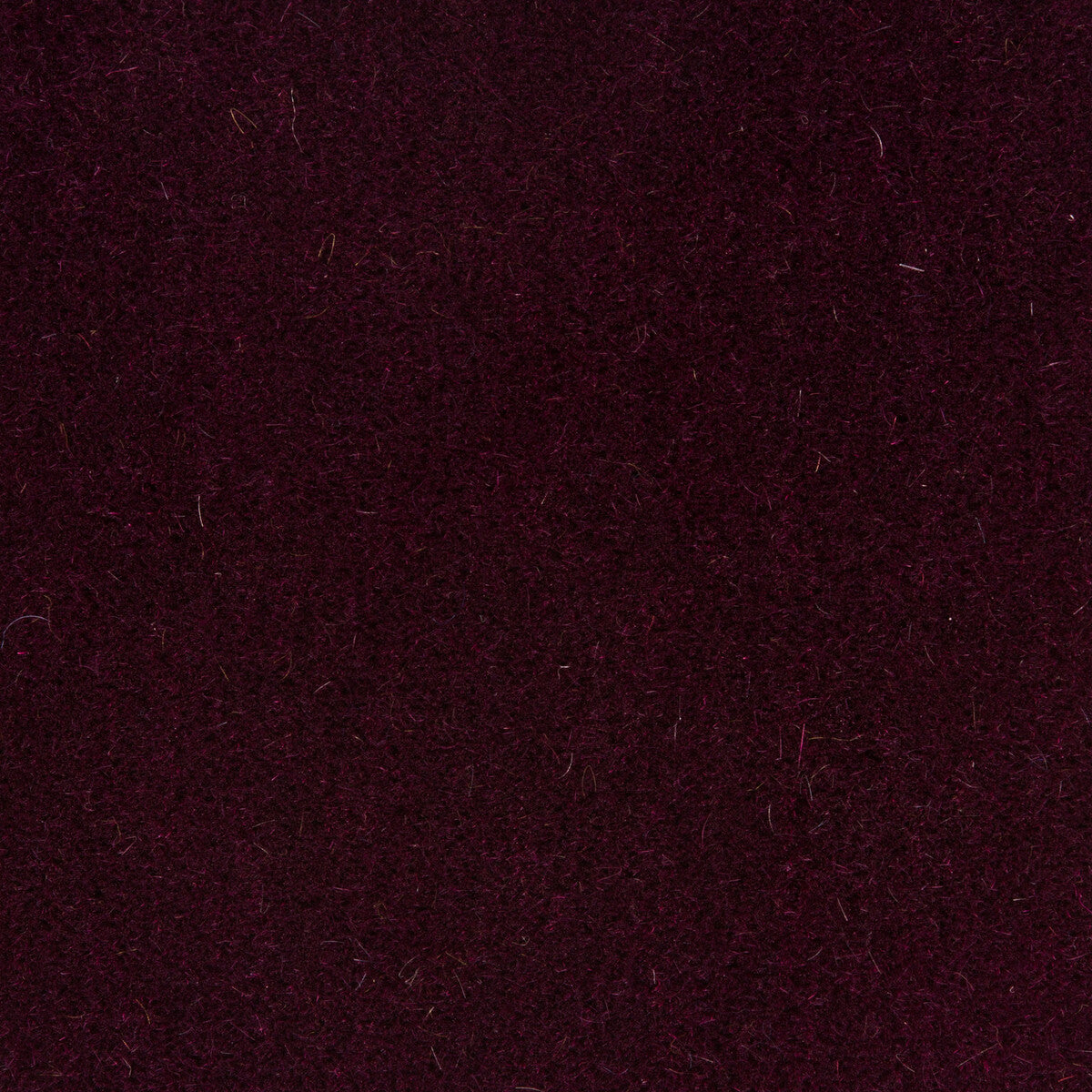 Bachelor Mohair fabric in blackberry color - pattern 8014101.909.0 - by Brunschwig & Fils