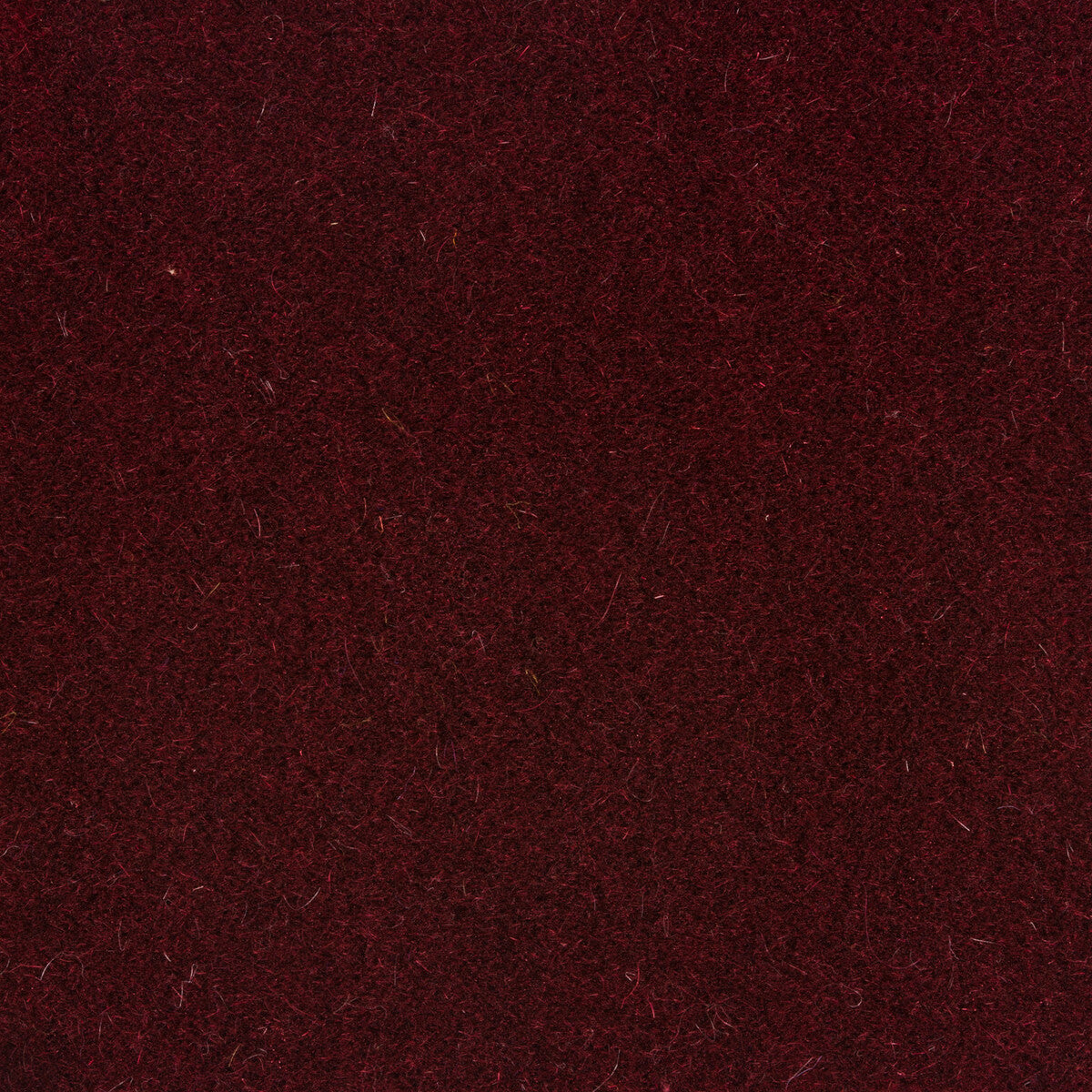 Bachelor Mohair fabric in raisin color - pattern 8014101.910.0 - by Brunschwig & Fils