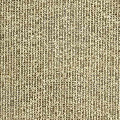 Sandrine fabric in ash color - pattern 8014143.16.0 - by Brunschwig & Fils