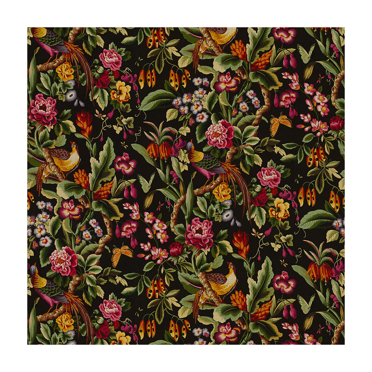 Pheasans fabric in chocolat color - pattern 8015130.68.0 - by Brunschwig & Fils in the Les Tropiques collection