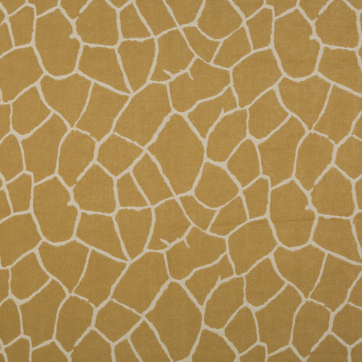 Kaliveli Woven fabric in ginger color - pattern 8015173.24.0 - by Brunschwig & Fils in the Cape Comorin collection