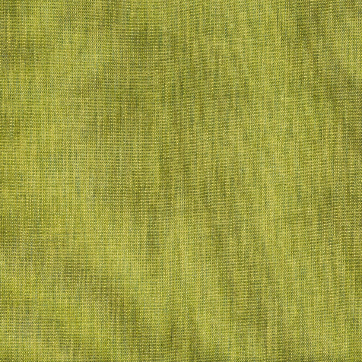 Palar Texture fabric in leaf color - pattern 8015177.33.0 - by Brunschwig & Fils in the Cape Comorin collection