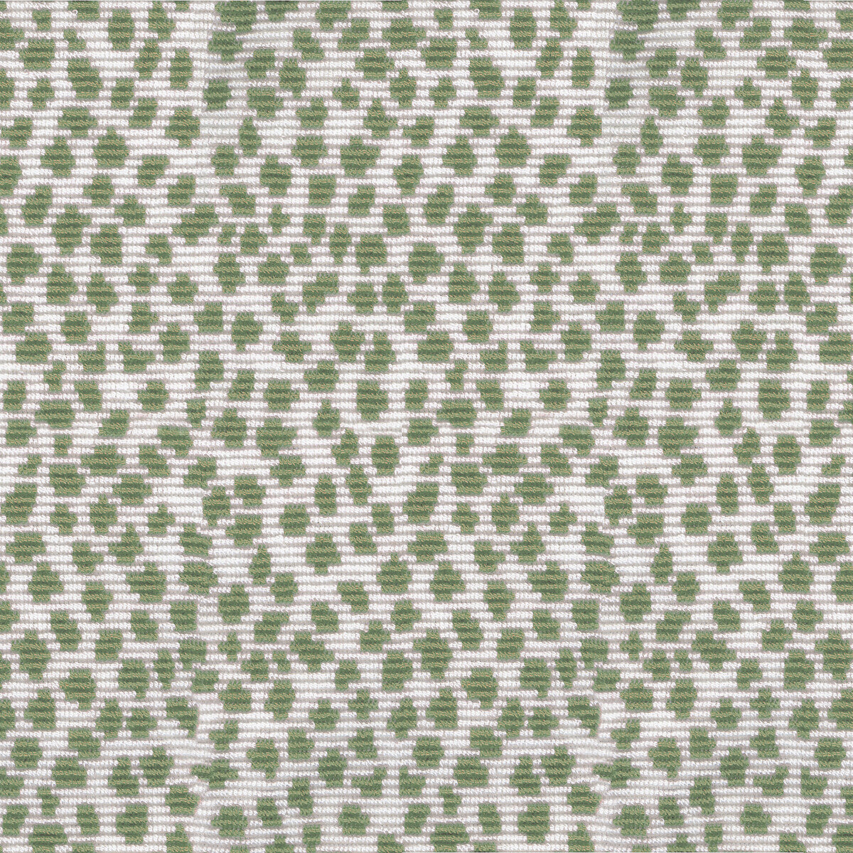Graveson Woven fabric in sage color - pattern 8017104.3.0 - by Brunschwig & Fils in the Durance collection