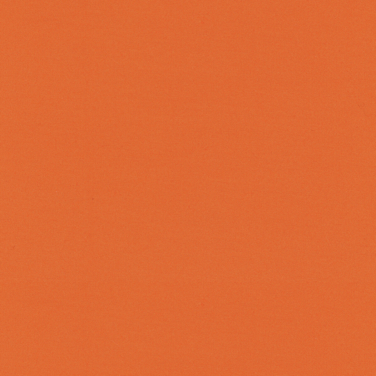 Adrien Cotton fabric in orange color - pattern 8017121.12.0 - by Brunschwig & Fils