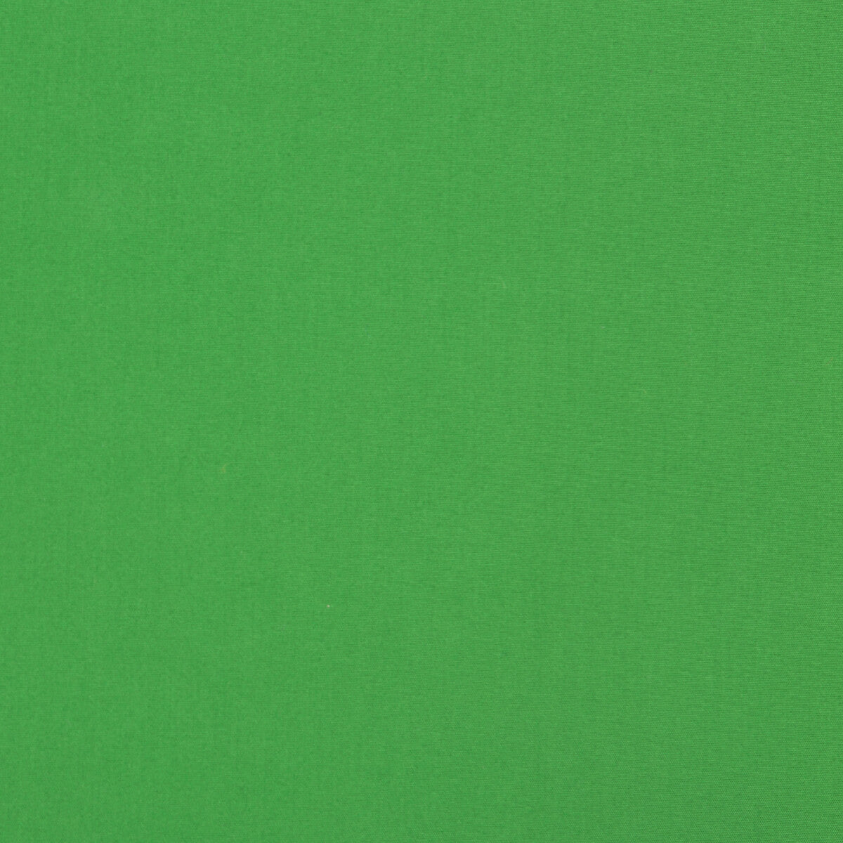 Adrien Cotton fabric in green color - pattern 8017121.33.0 - by Brunschwig & Fils