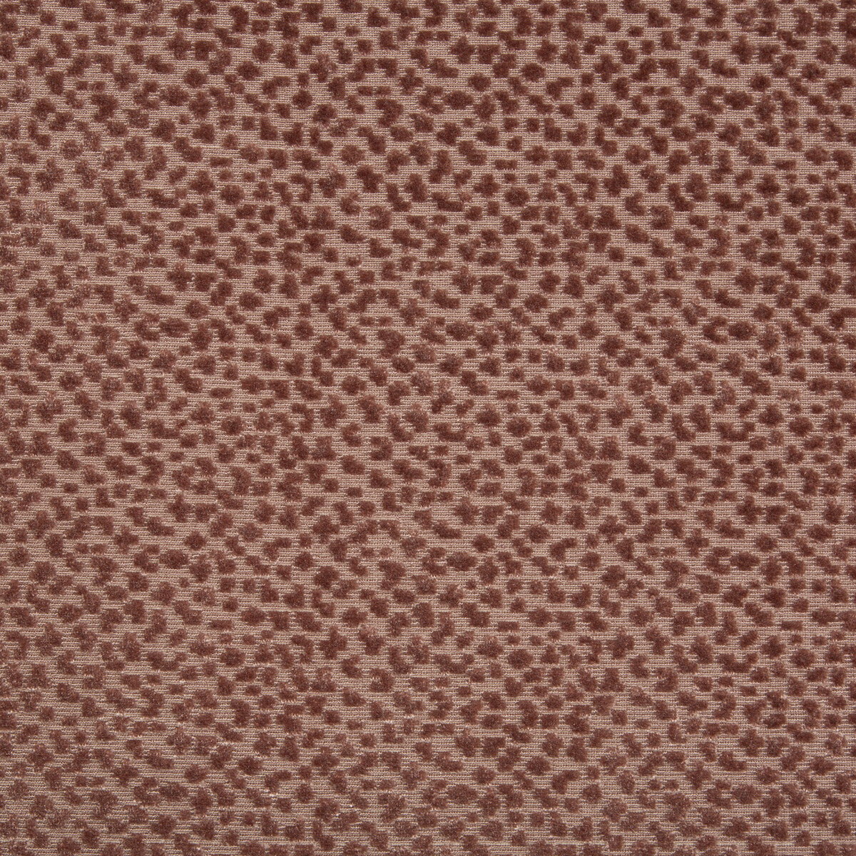La Panthere Velvet fabric in petal color - pattern 8017126.119.0 - by Brunschwig & Fils in the Les Ensembliers collection