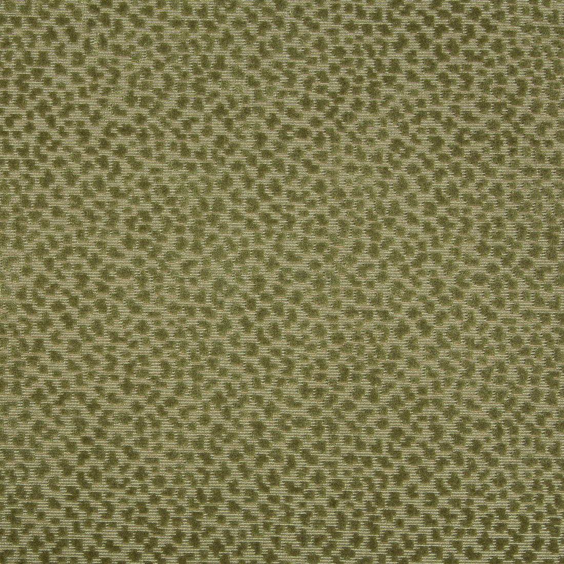 La Panthere Velvet fabric in moss color - pattern 8017126.3.0 - by Brunschwig &amp; Fils in the Les Ensembliers collection