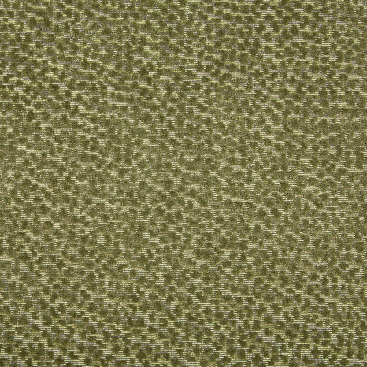 La Panthere Velvet fabric in moss color - pattern 8017126.3.0 - by Brunschwig & Fils in the Les Ensembliers collection