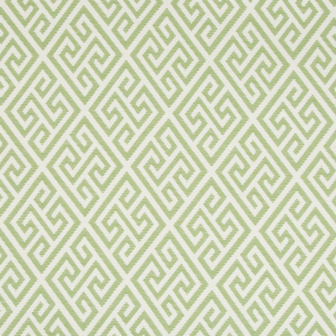 Cap Martin Woven fabric in kiwi color - pattern 8017150.3.0 - by Brunschwig &amp; Fils in the En Vacances collection