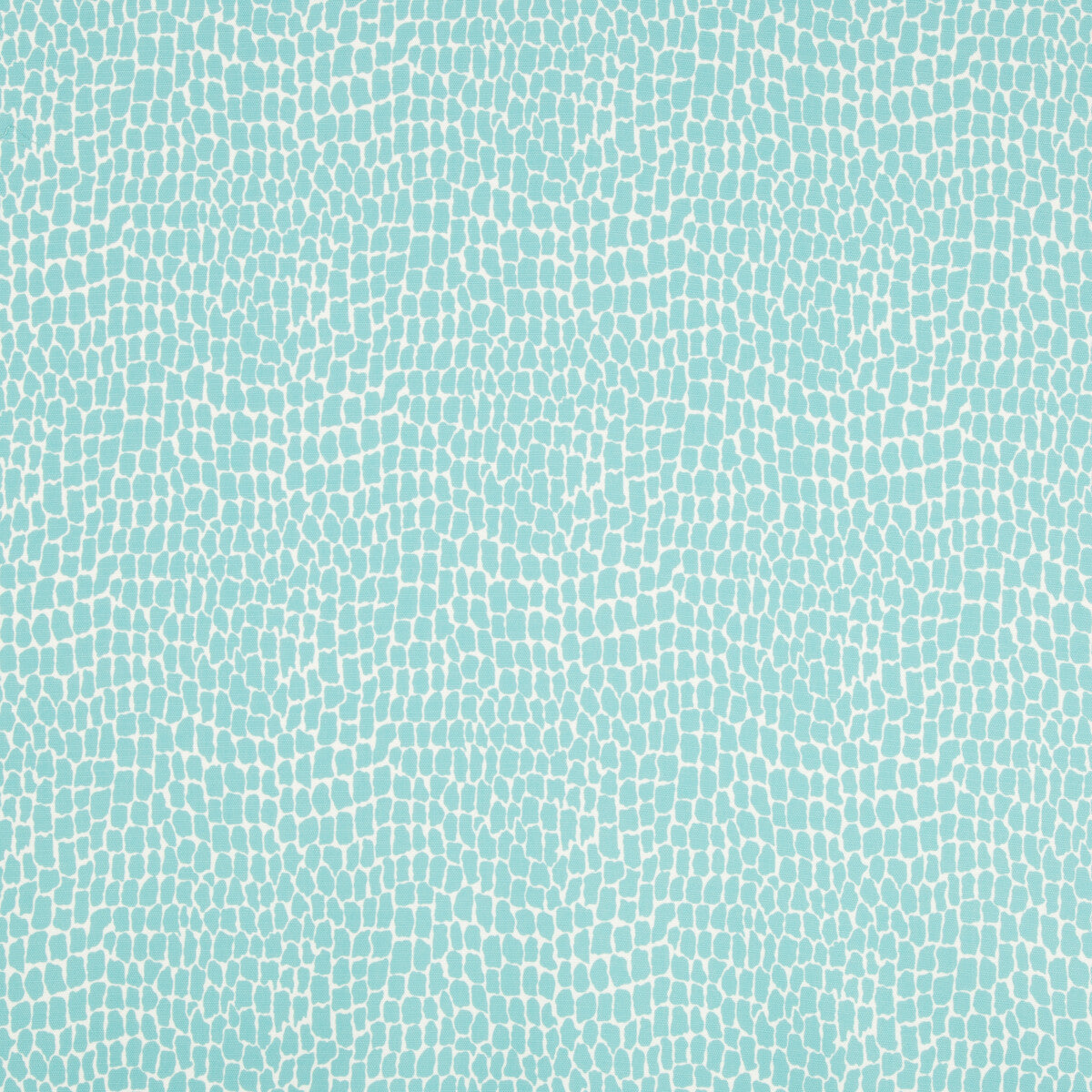 Nile Print fabric in aqua color - pattern 8017154.13.0 - by Brunschwig & Fils in the En Vacances collection