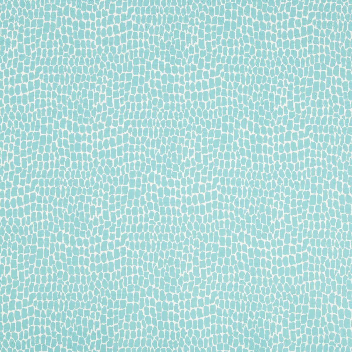 Nile Print fabric in aqua color - pattern 8017154.13.0 - by Brunschwig &amp; Fils in the En Vacances collection