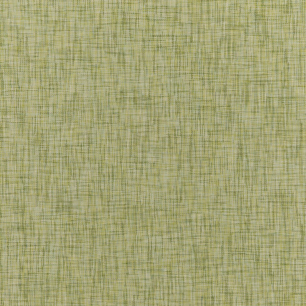 Temae Texture fabric in leaf color - pattern 8018107.3.0 - by Brunschwig & Fils in the Baret collection